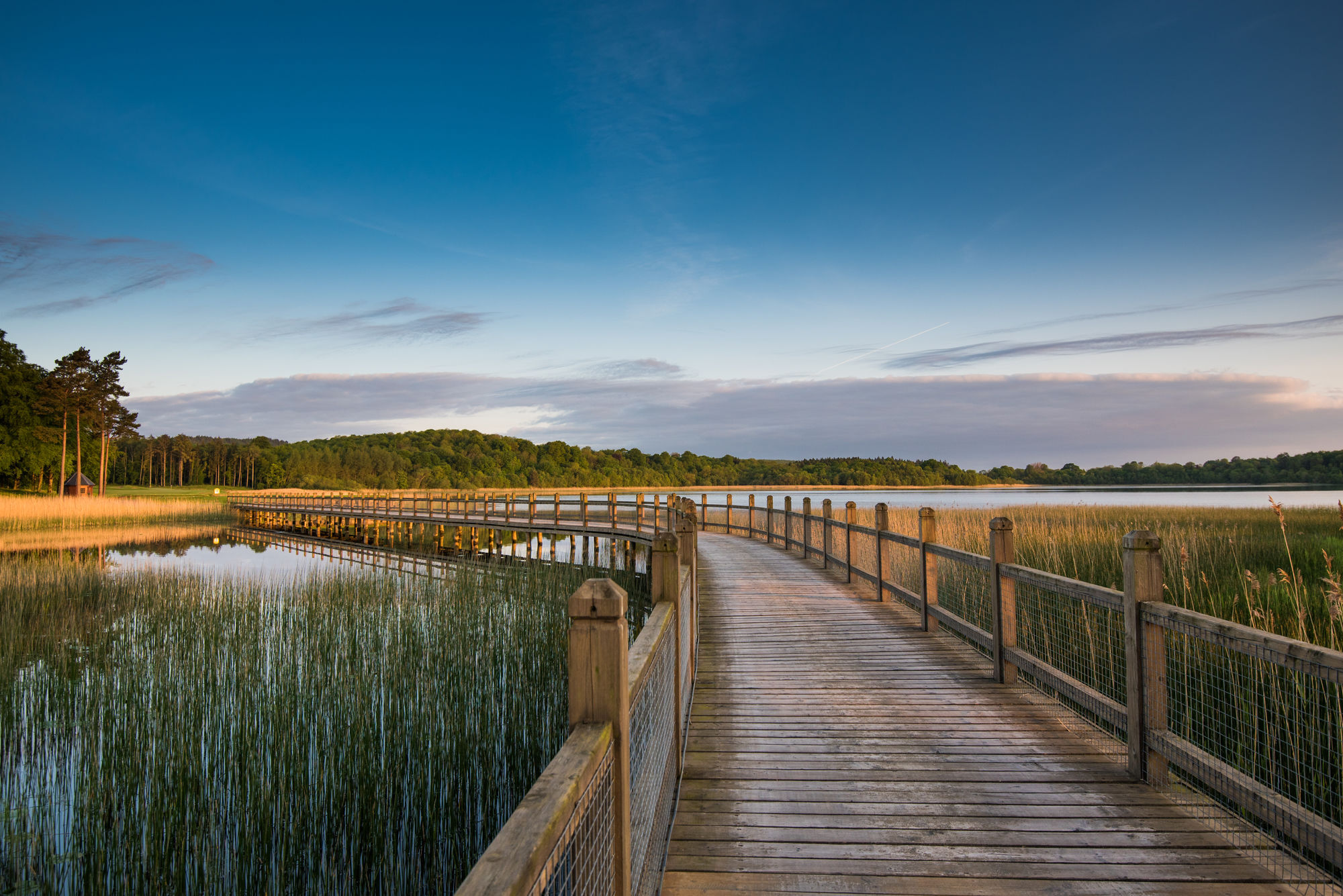 Lough Erne Resort Enniskillen Exterior foto The boardwalk at the reserve